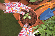 SGS HYR 2013 event