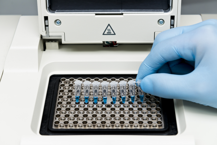 Orig DNA Amplification Reverse Transcription PCR RNA