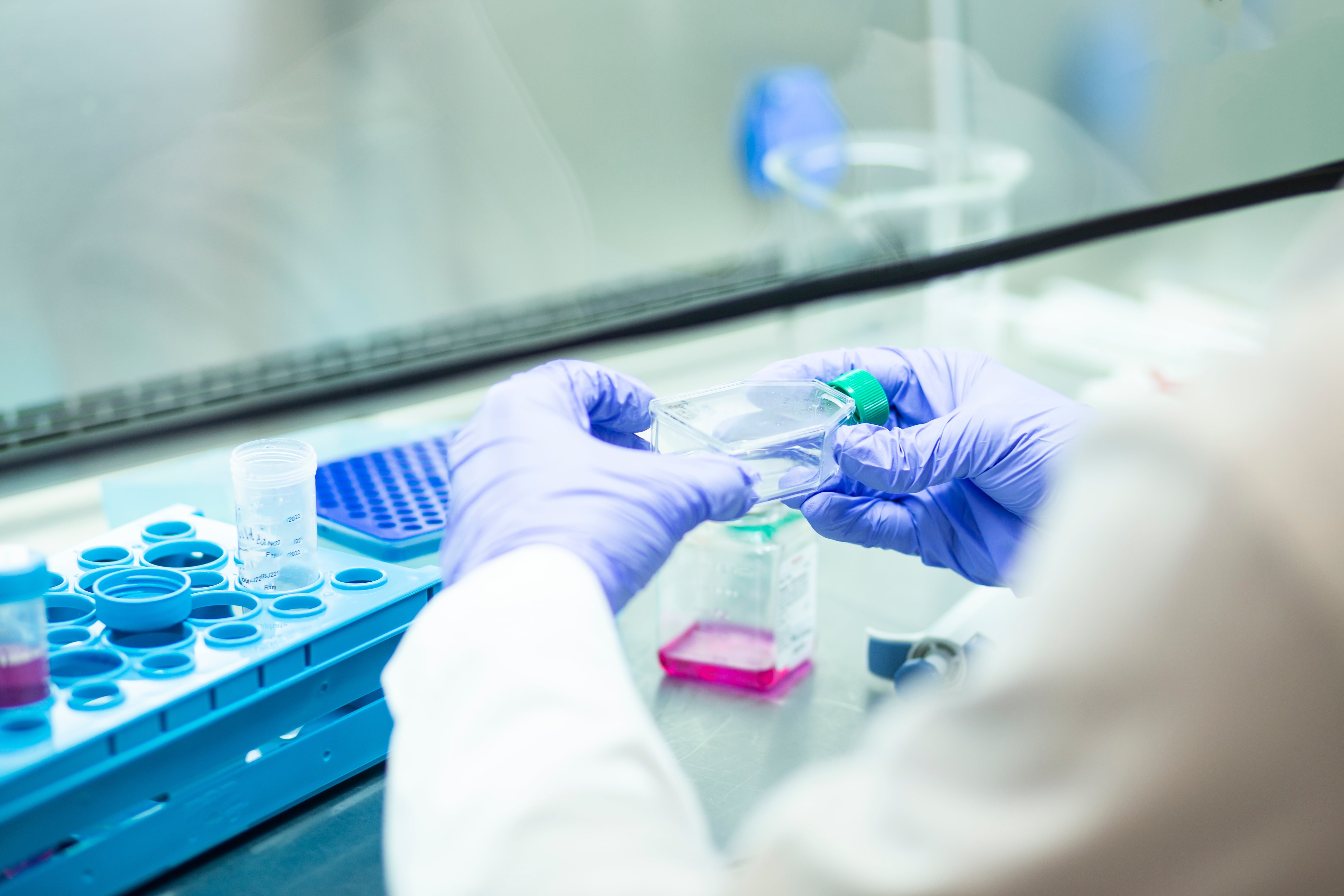 Microbiome Analysis | SGS Oman