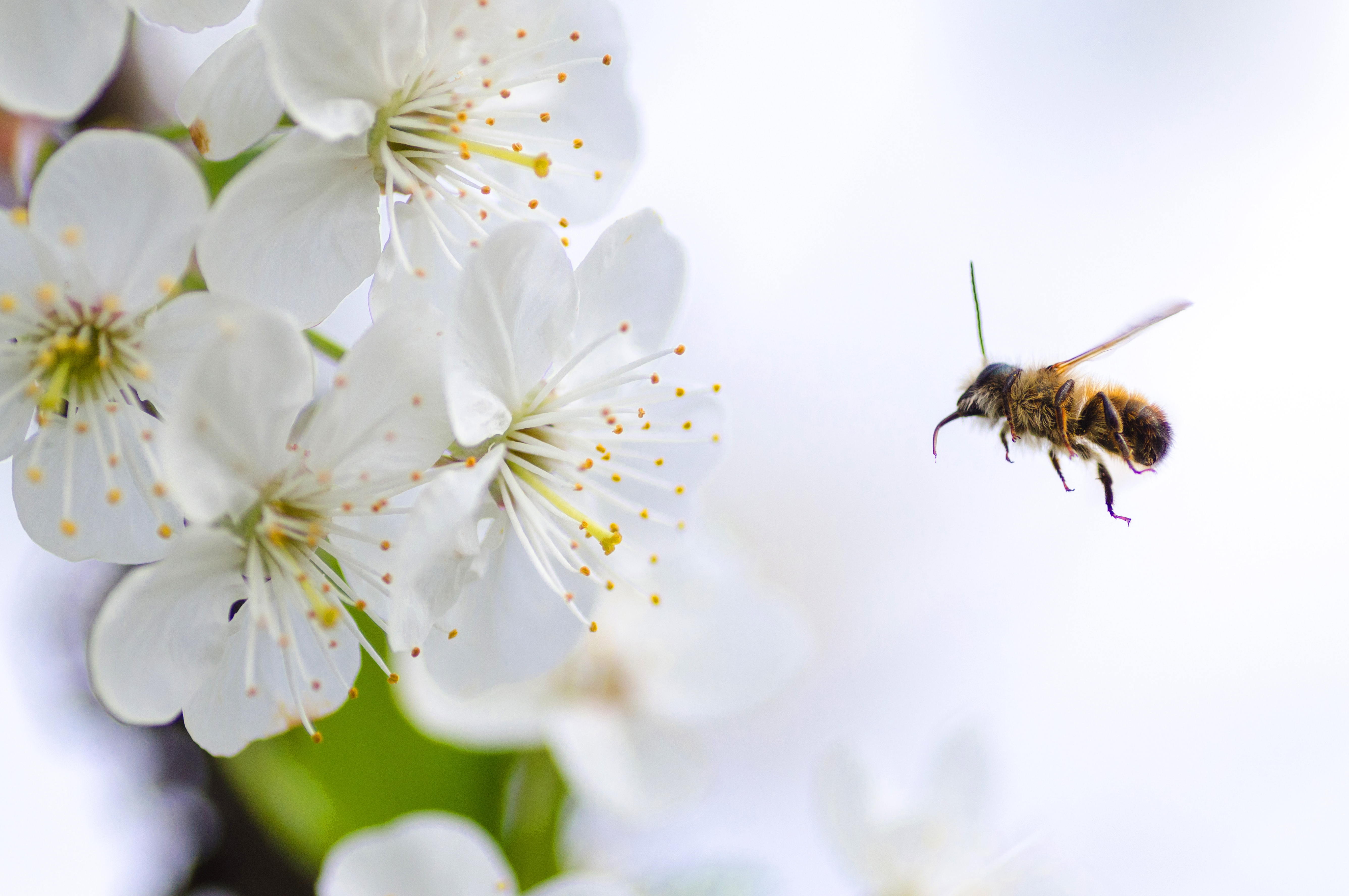 Sgs We Are The World S Leading Testing Inspection And Certification Company