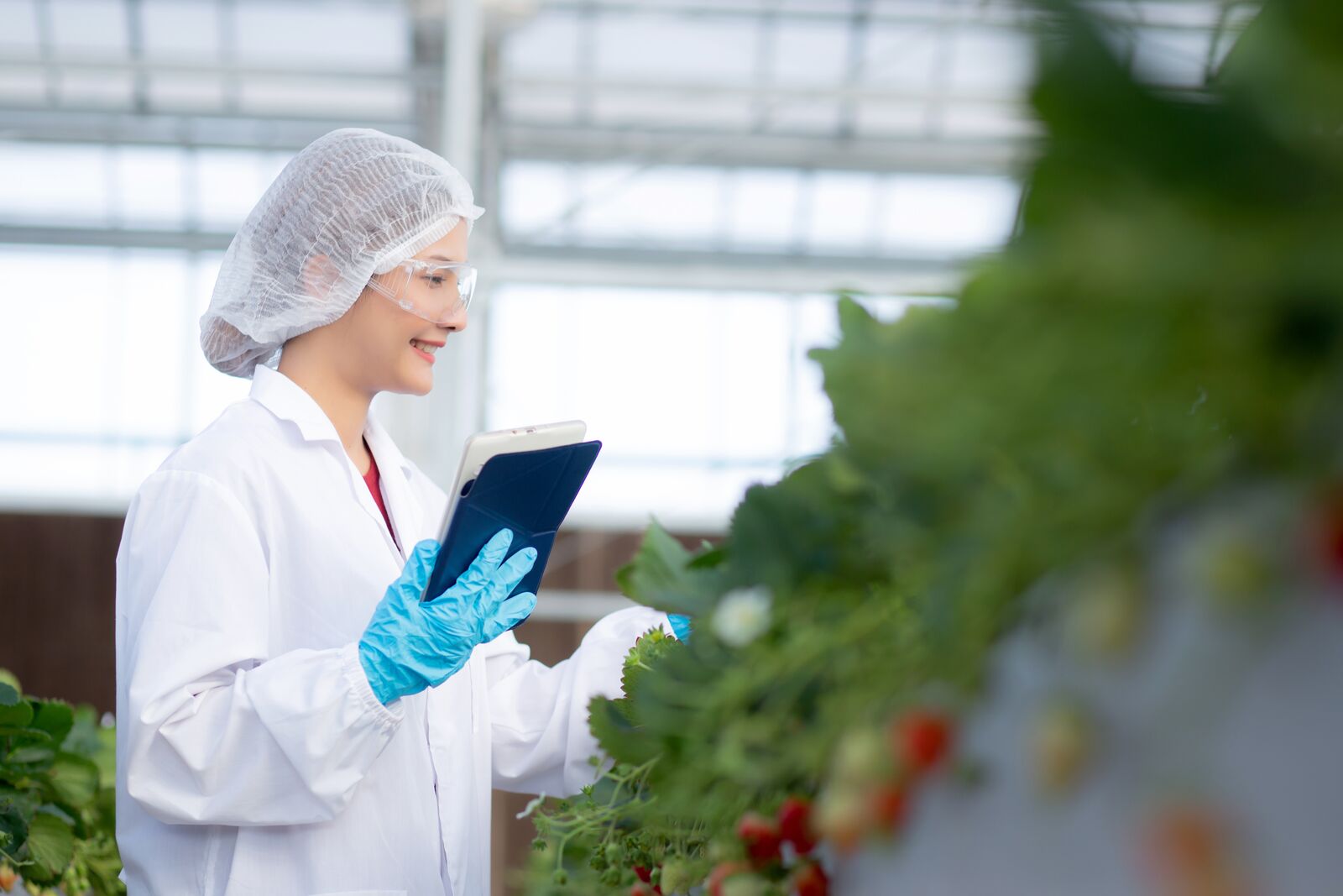 ISO 14067 Verification – Greenhouse Gases – Carbon Footprint of