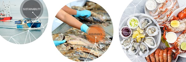 Seafood image_1
