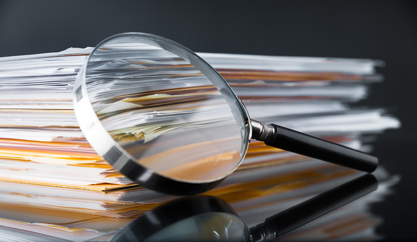 Verify SGS Documents Form | SGS Malaysia