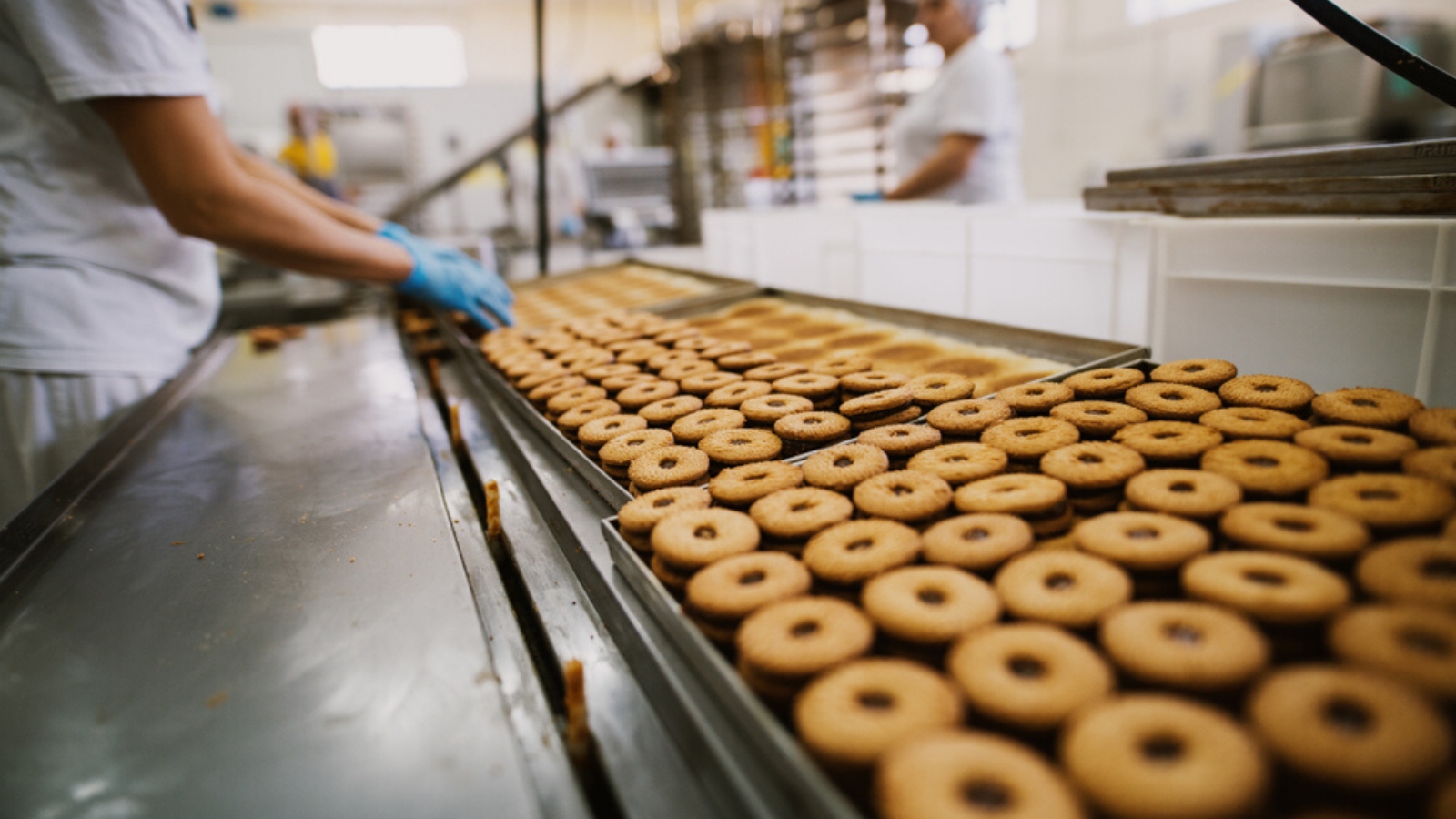 https://www.sgs.com/-/media/sgscorp/images/temporary/hero-donuts-in-factory-1600px.cdn.en-NZ.1.png