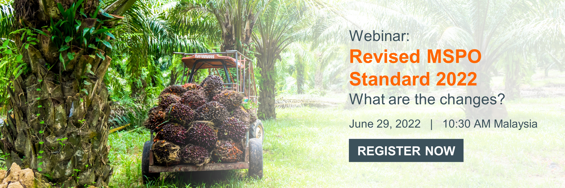 Revised MSPO Standard 2022