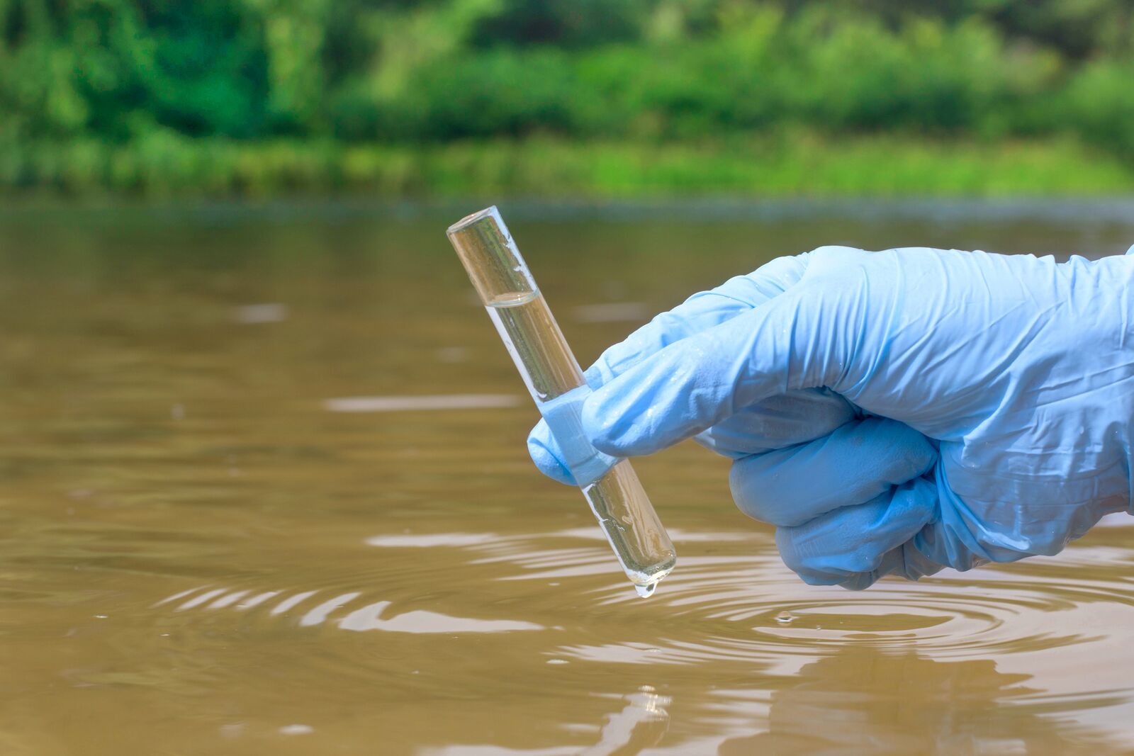 water sample test bac t albuquerque nm Bac-T Testing Request The Mysterious Bac-T Test
