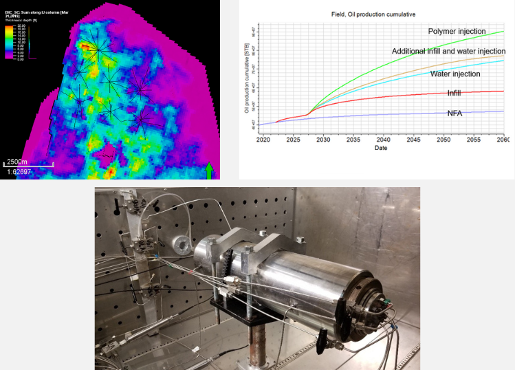 Integrated Enhanced Oil Recovery Project